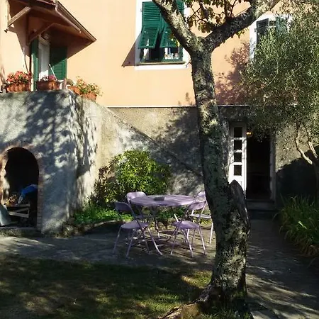 Salino Couette-café Maissana