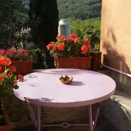 Salino