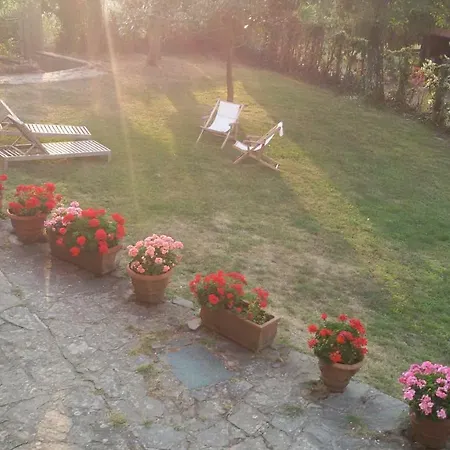 Salino *